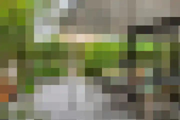 Witte Molenweg 2 Heesch thumbnail 32