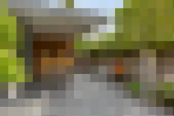 Witte Molenweg 2 Heesch thumbnail 33
