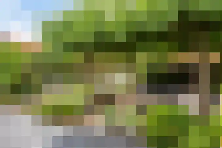 Witte Molenweg 2 Heesch thumbnail 34