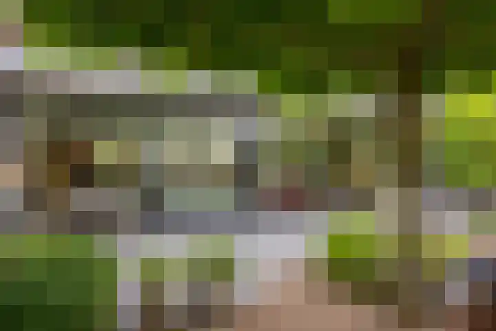 Witte Molenweg 2 Heesch thumbnail 35