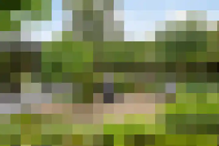 Witte Molenweg 2 Heesch thumbnail 36