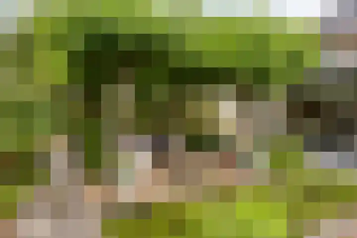 Witte Molenweg 2 Heesch thumbnail 38