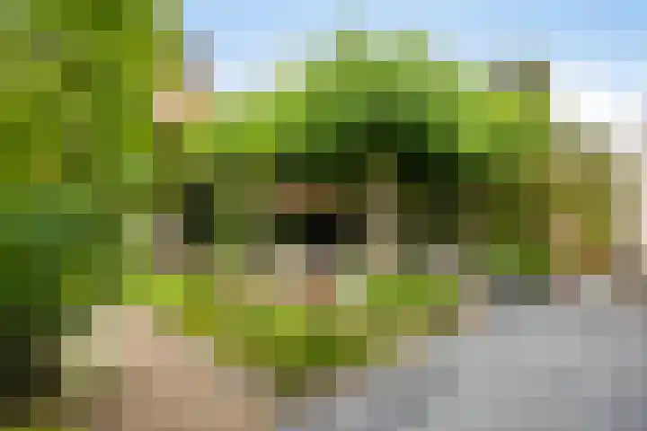 Witte Molenweg 2 Heesch thumbnail 40