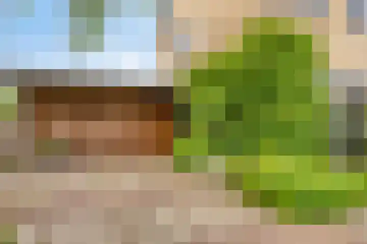 Witte Molenweg 2 Heesch thumbnail 42