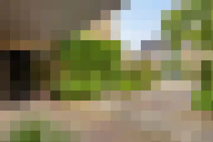 Witte Molenweg 2 Heesch thumbnail 43