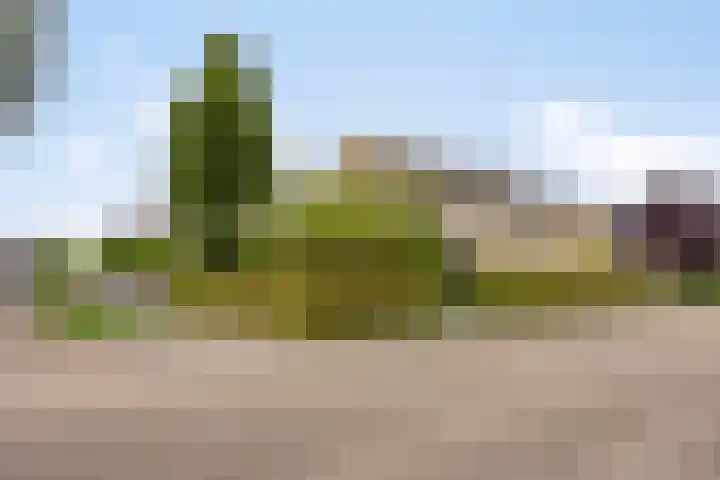Witte Molenweg 2 Heesch thumbnail 44