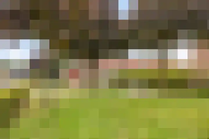 Witte Molenweg 2 Heesch thumbnail 45