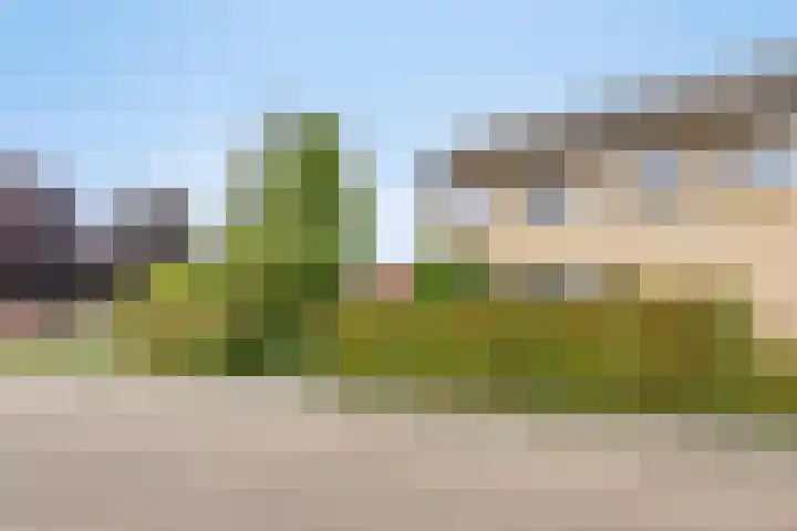 Witte Molenweg 2 Heesch thumbnail 46