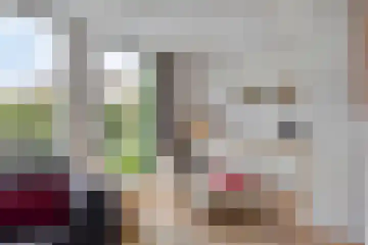 Witte Molenweg 2 Heesch thumbnail 6