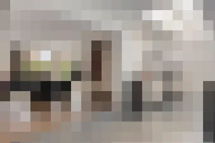 Witte Molenweg 2 Heesch thumbnail 9