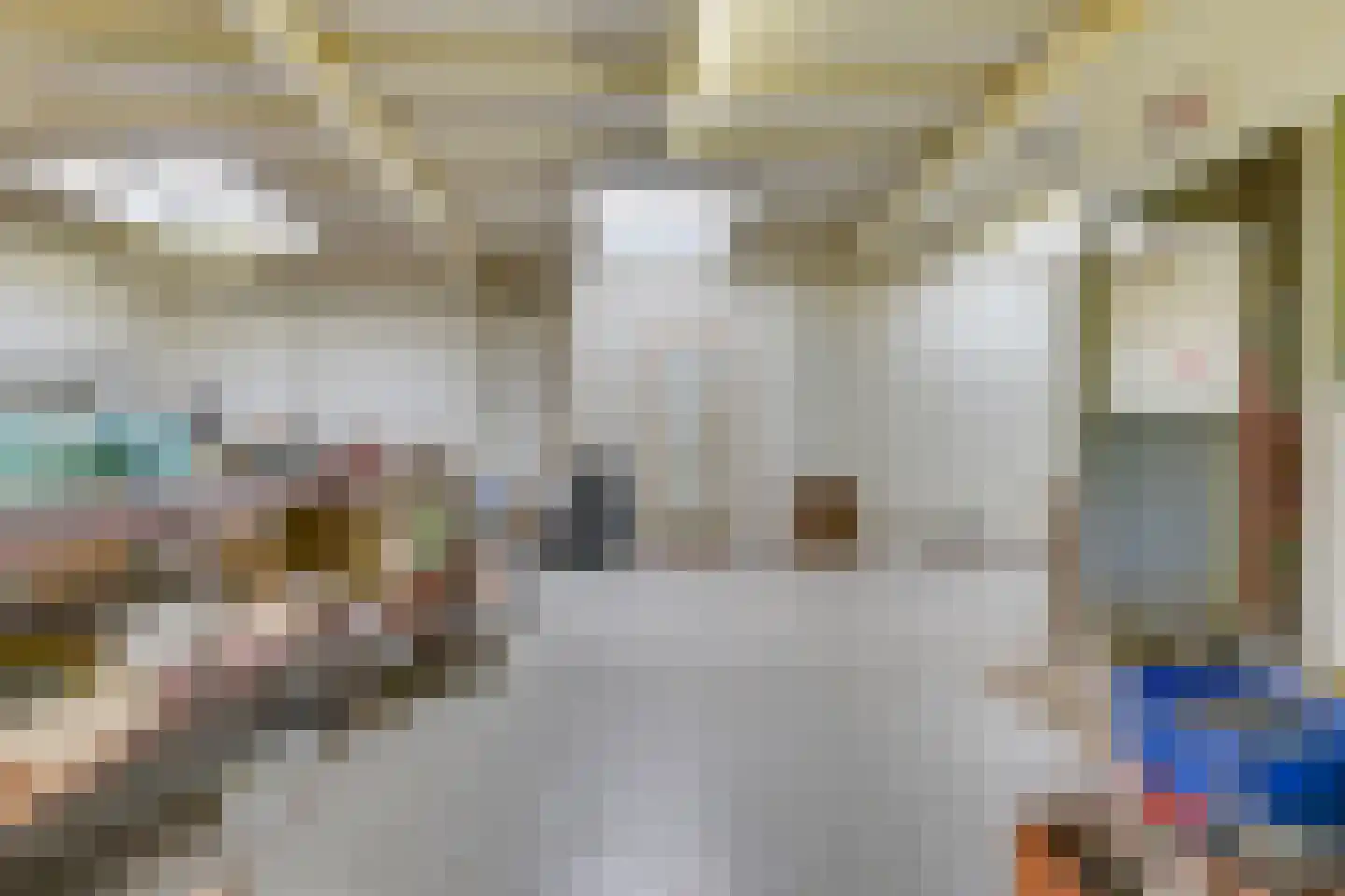 Witte Paal 113 Schagen thumbnail 44