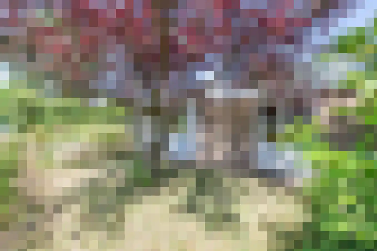Witte Paal 113 Schagen thumbnail 52