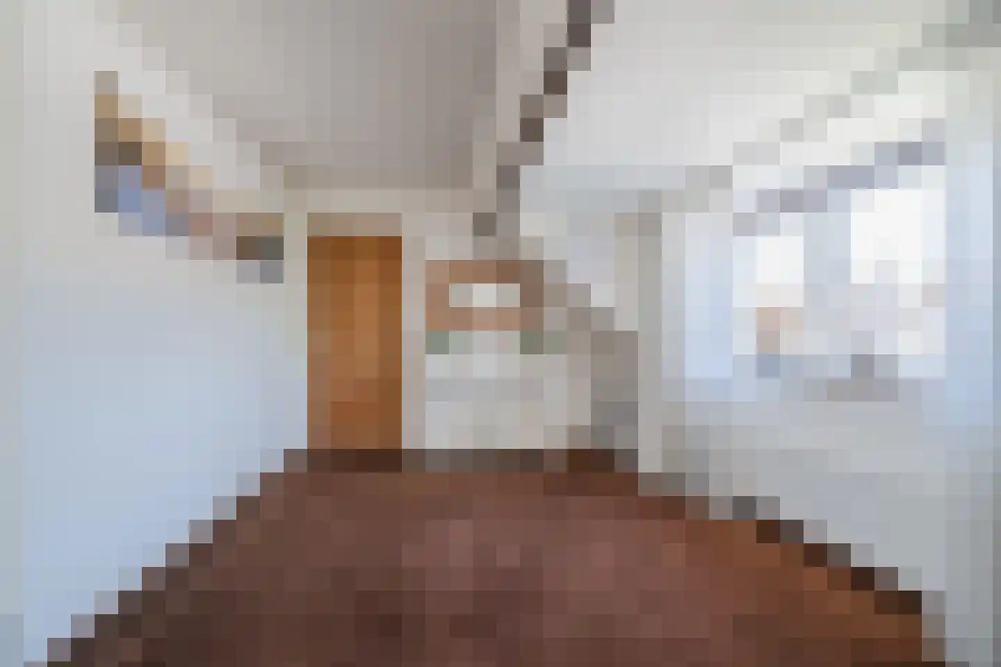 Witte Paal 149 Schagen thumbnail 32