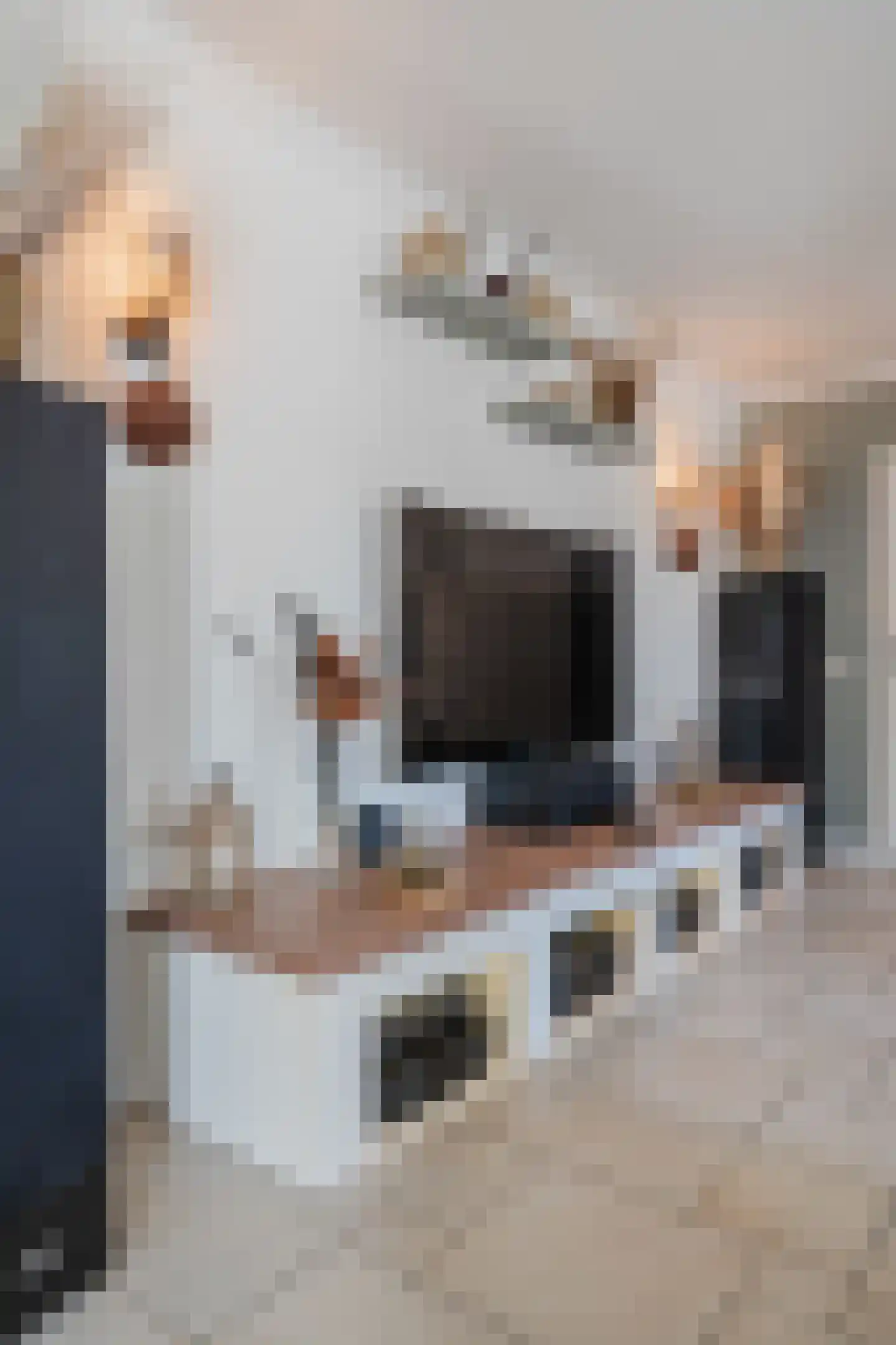 Witte Paal 149 Schagen thumbnail 9