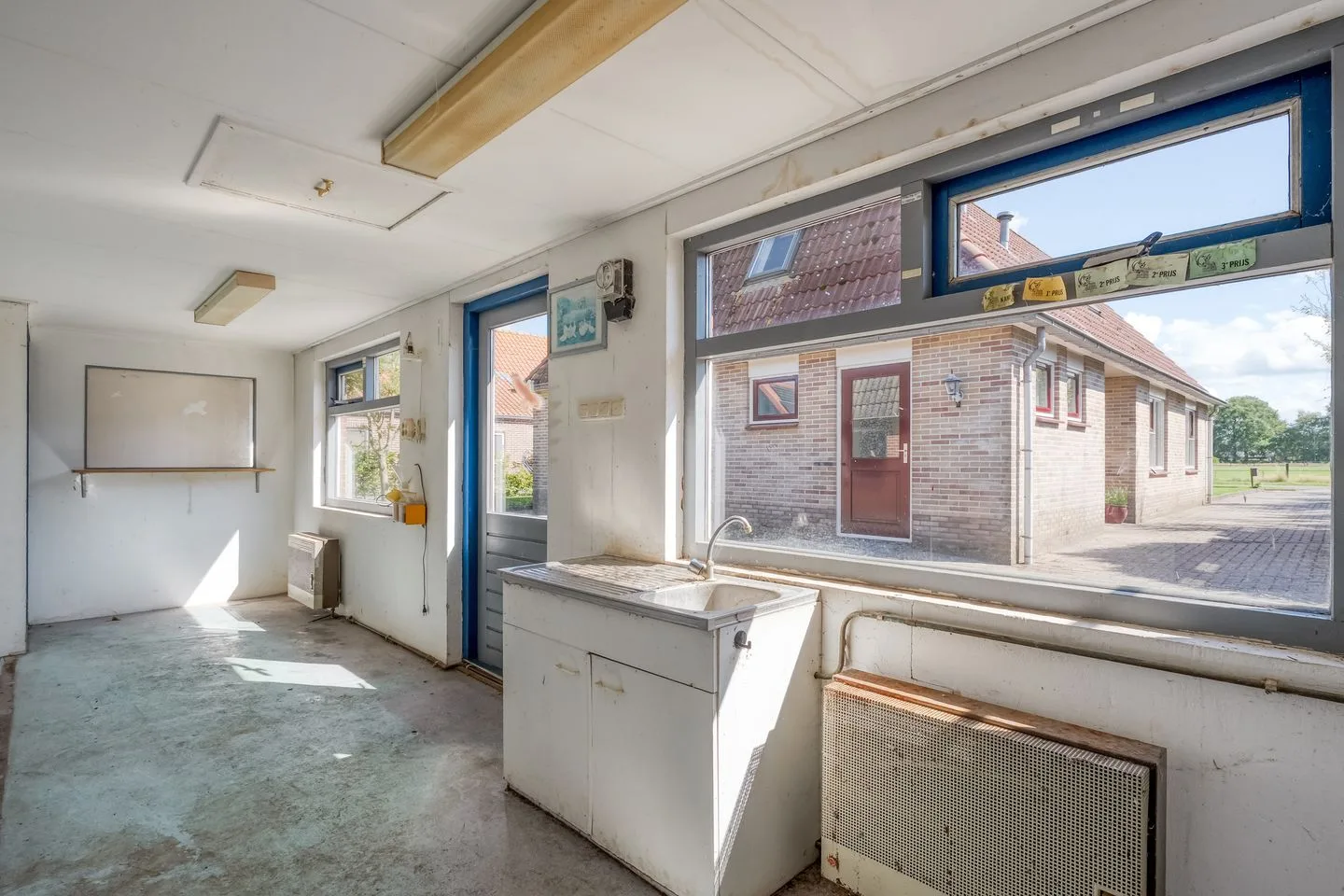 Witte Paarden 25 Witte Paarden thumbnail 21