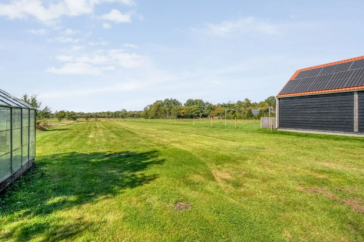 Witte Paarden 25 Witte Paarden thumbnail 26