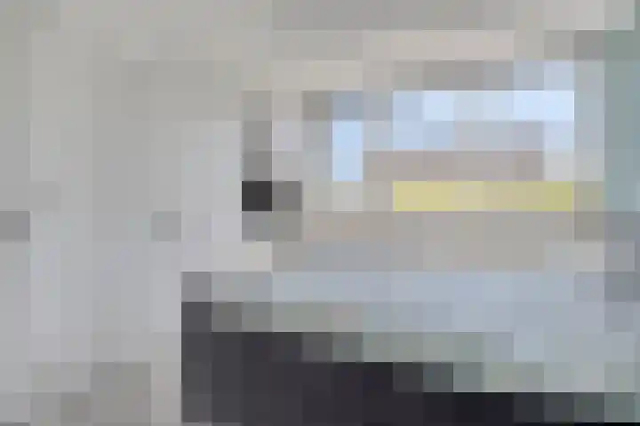 Witte Paters 14 's-Heerenberg thumbnail 23