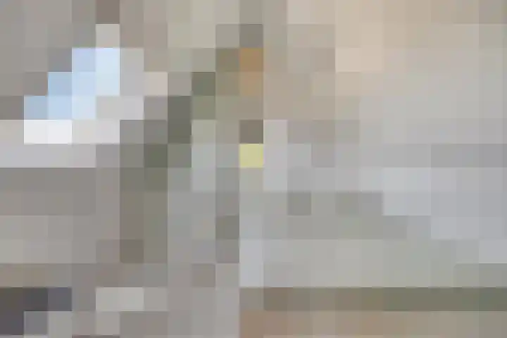 Witte Paters 14 's-Heerenberg thumbnail 30