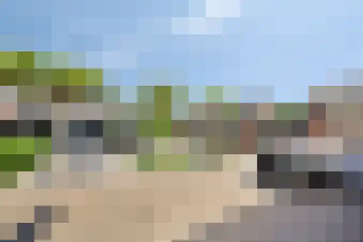 Witte Paters 14 's-Heerenberg thumbnail 37
