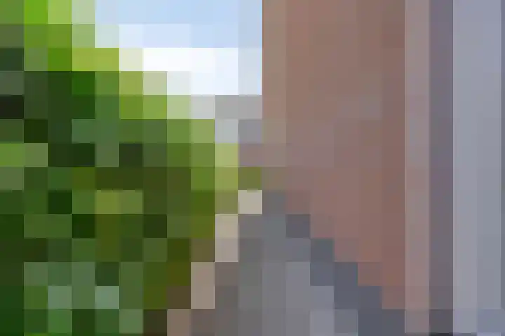 Witte Paters 14 's-Heerenberg thumbnail 39