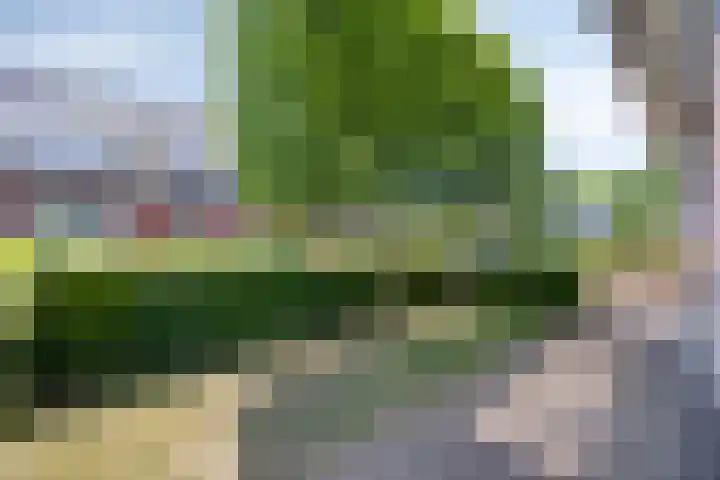 Witte Paters 14 's-Heerenberg thumbnail 40