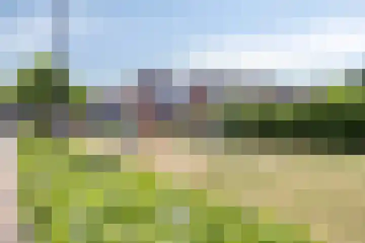 Witte Paters 14 's-Heerenberg thumbnail 43