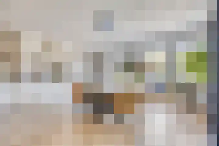 Witte Paters 14 's-Heerenberg thumbnail 5