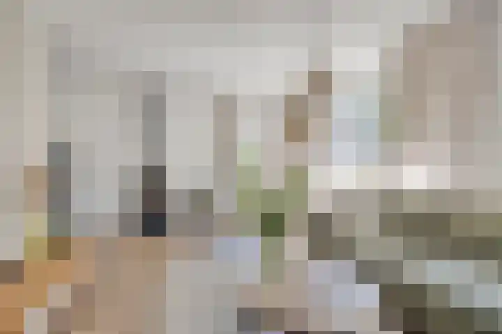 Witte Paters 14 's-Heerenberg thumbnail 8