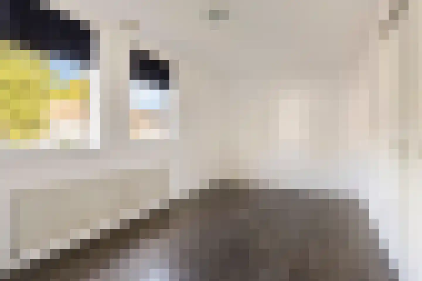 Witte Put 19 Nuenen thumbnail 22