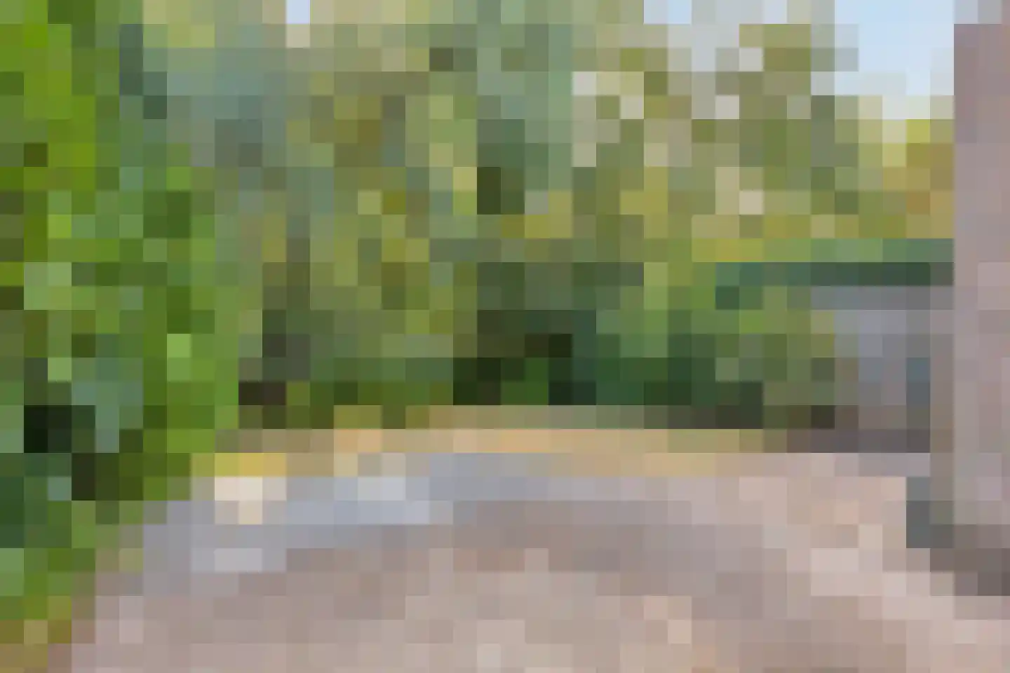 Witte Put 19 Nuenen thumbnail 35