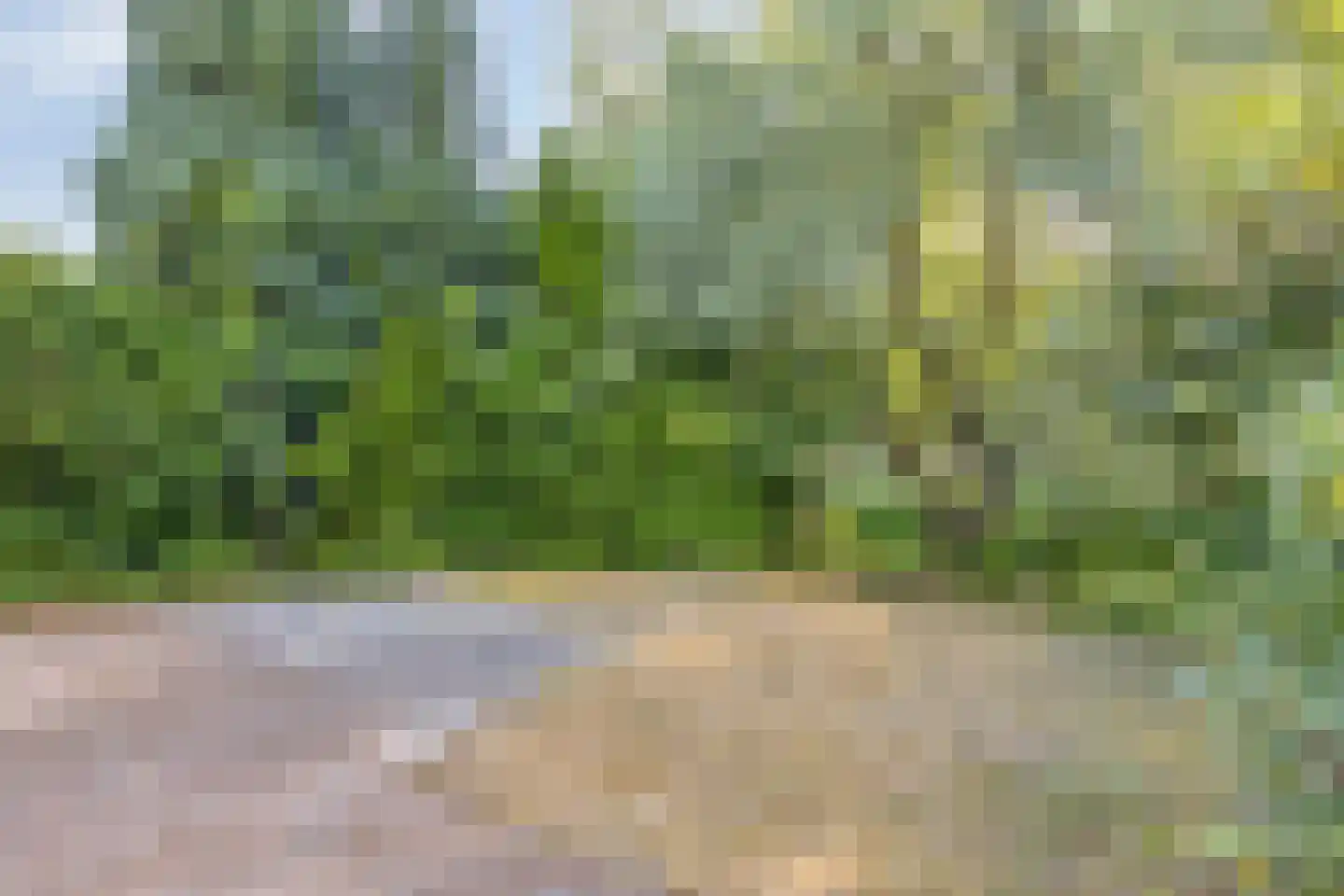Witte Put 19 Nuenen thumbnail 36