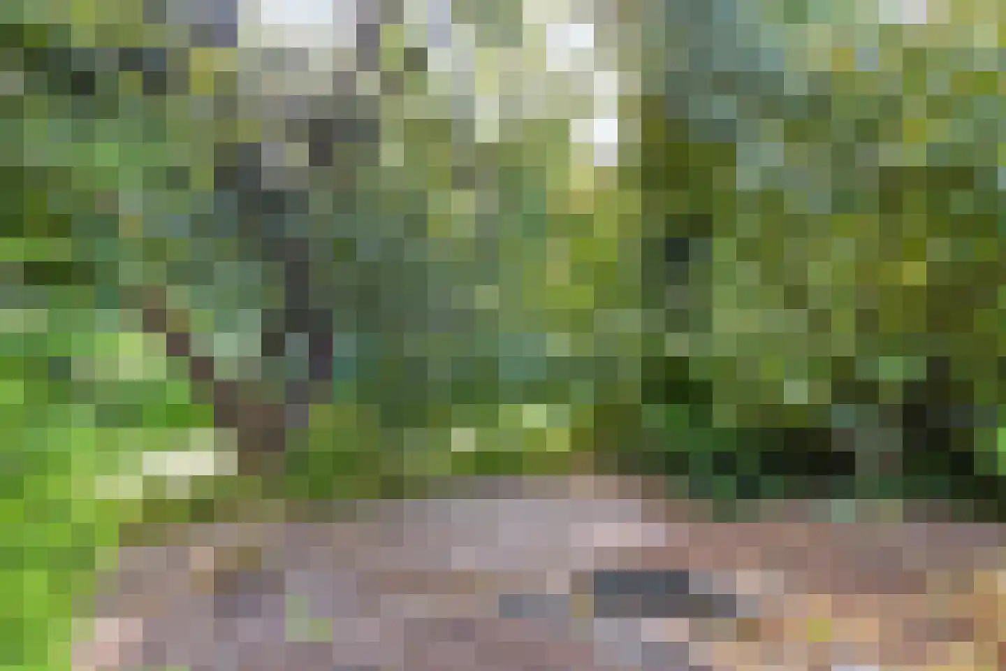 Witte Put 19 Nuenen thumbnail 37