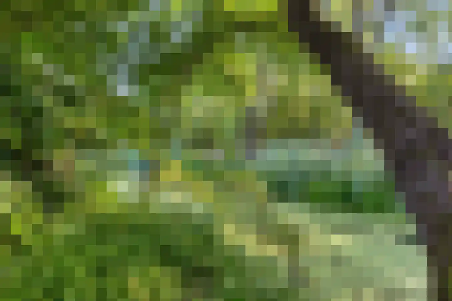 Witte Put 19 Nuenen thumbnail 38