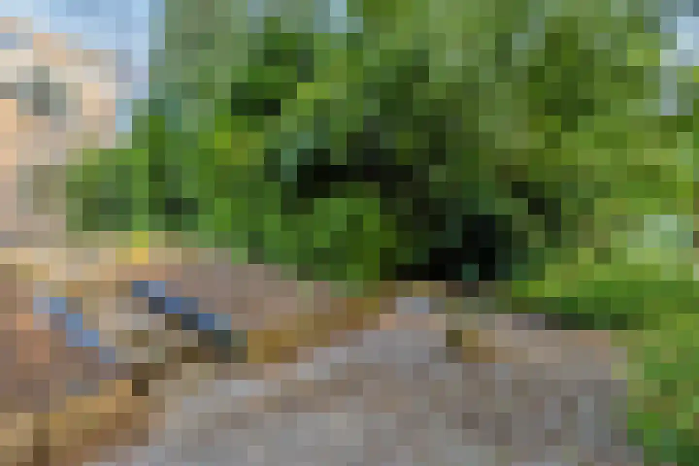 Witte Put 19 Nuenen thumbnail 39