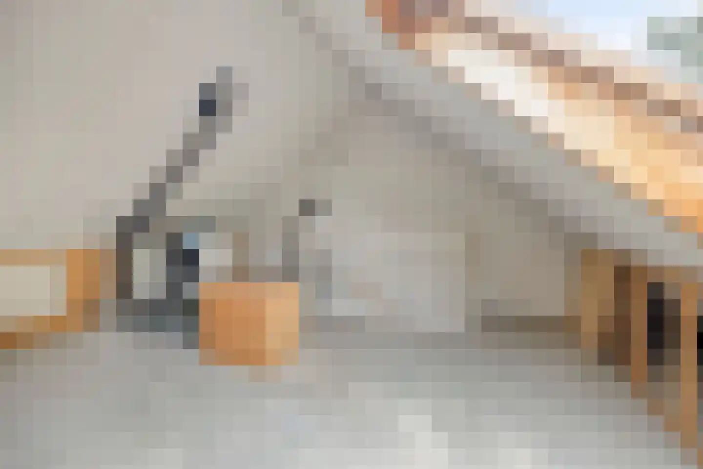 Witte Put 50 Nuenen thumbnail 36