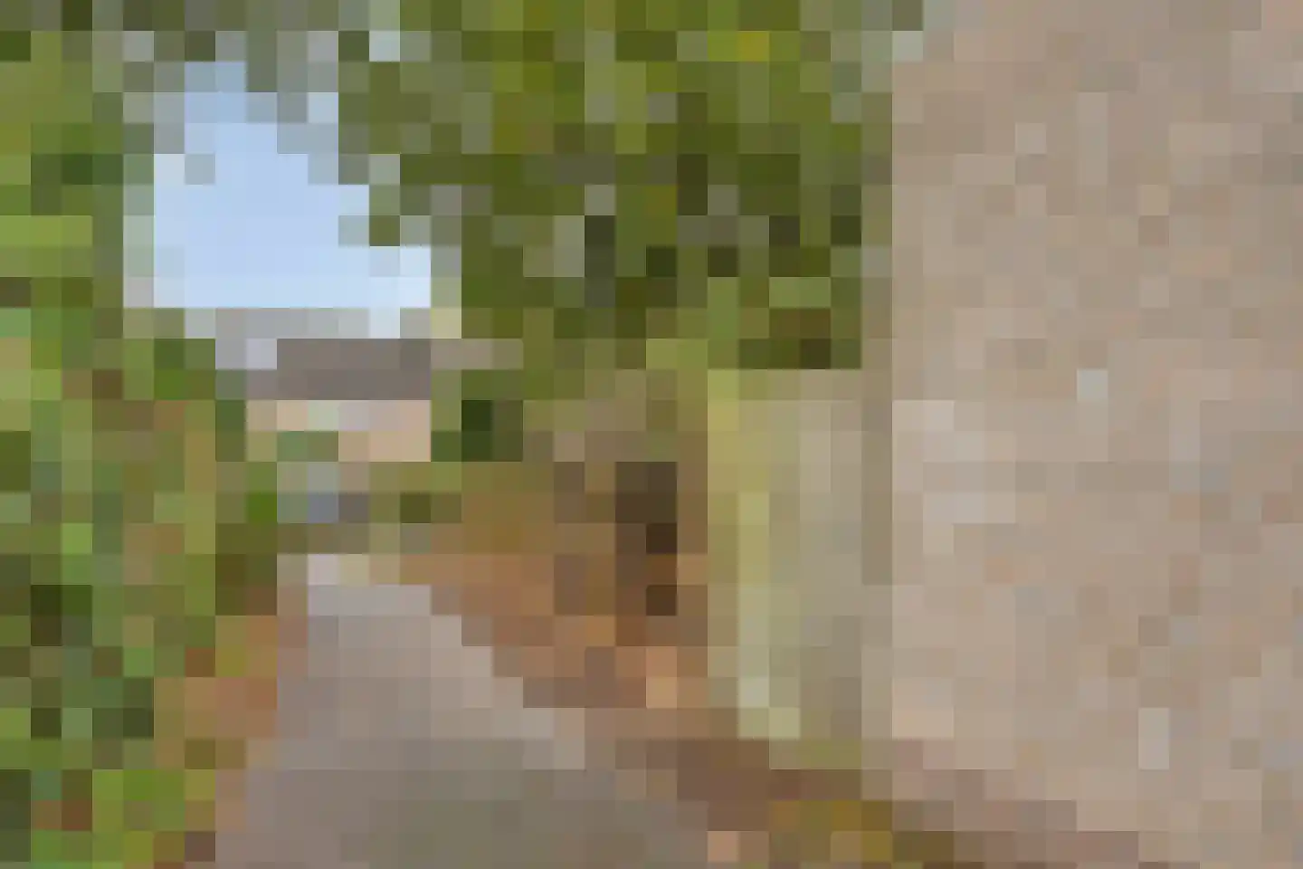 Witte Put 50 Nuenen thumbnail 38