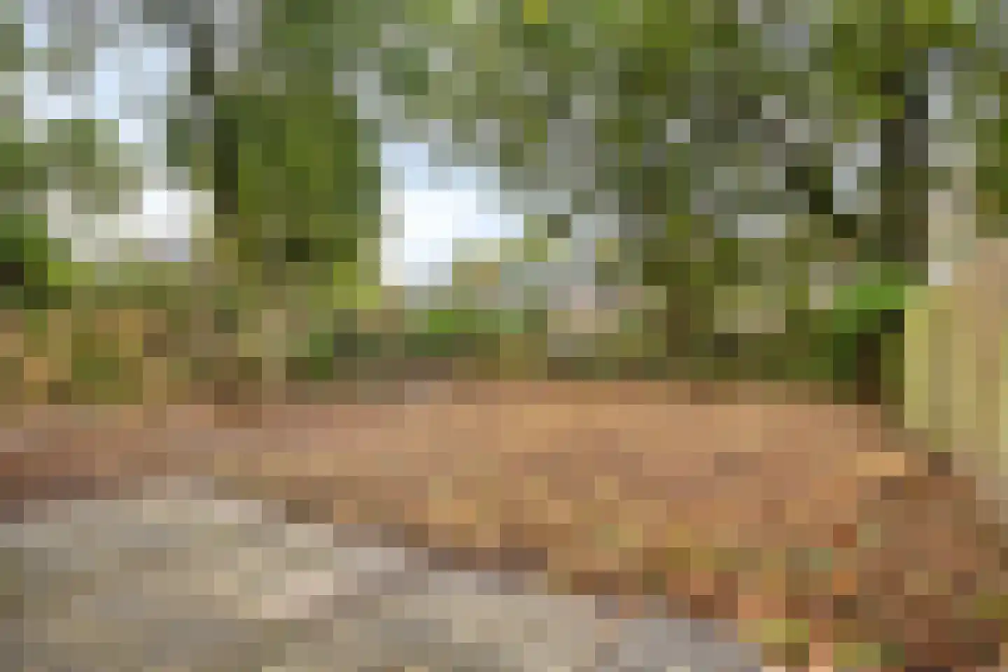 Witte Put 50 Nuenen thumbnail 39