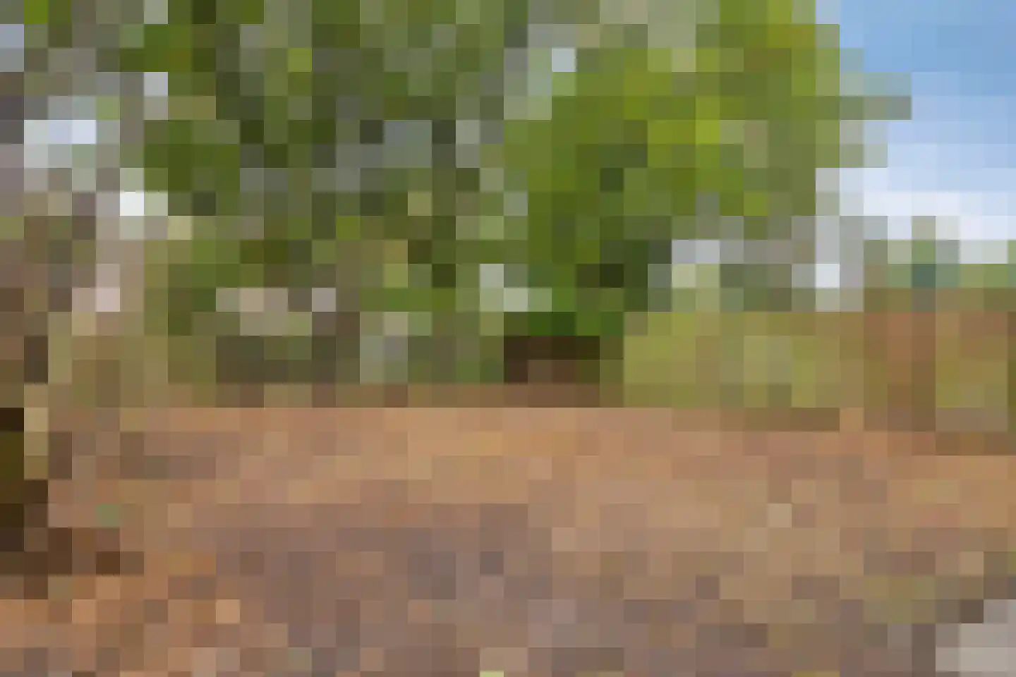 Witte Put 50 Nuenen thumbnail 40