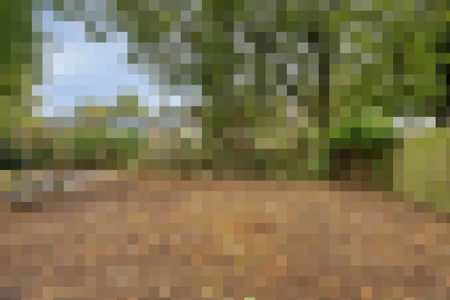 Witte Put 50 Nuenen thumbnail 41