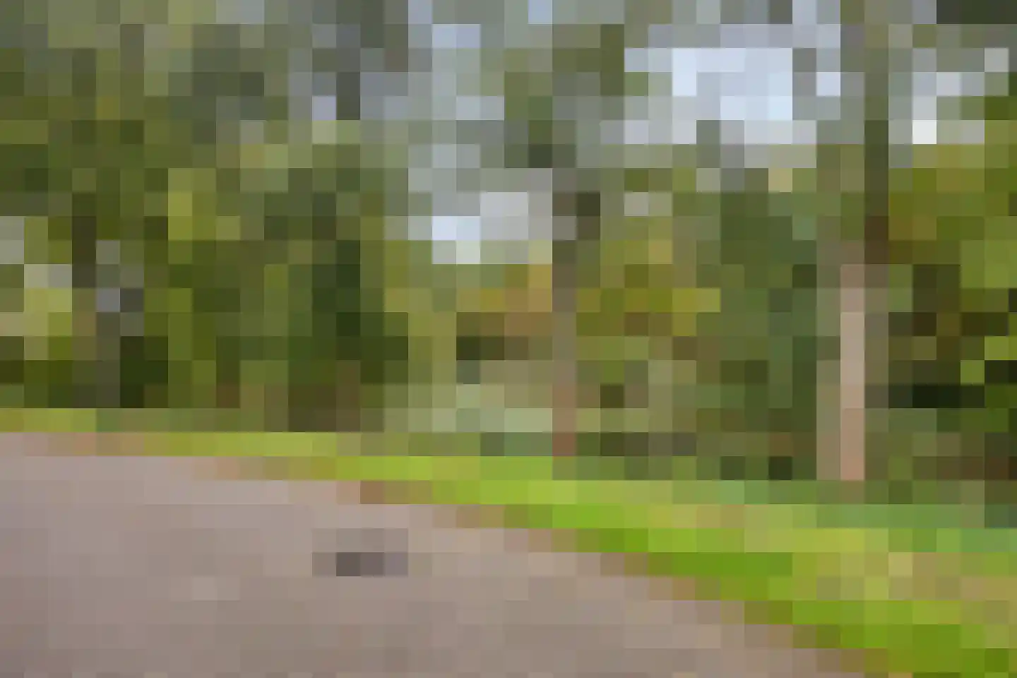 Witte Put 50 Nuenen thumbnail 48