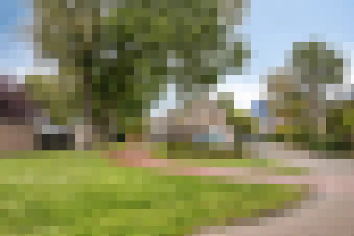 Witte Put 50 Nuenen thumbnail 49