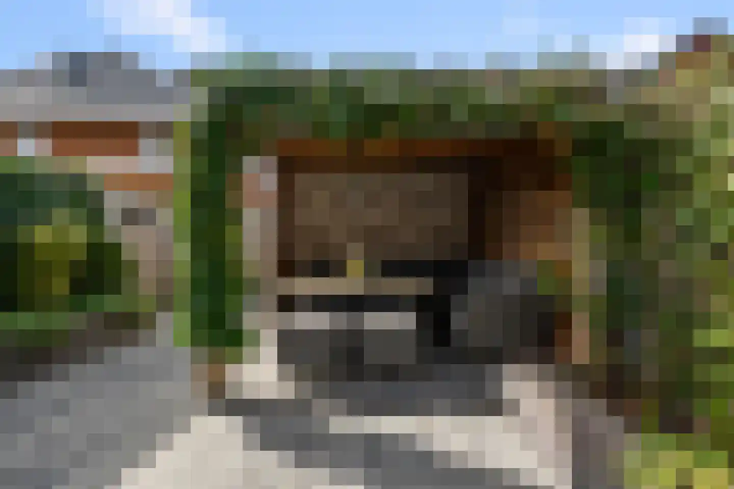 Witte Ring 103 Assendelft thumbnail 14