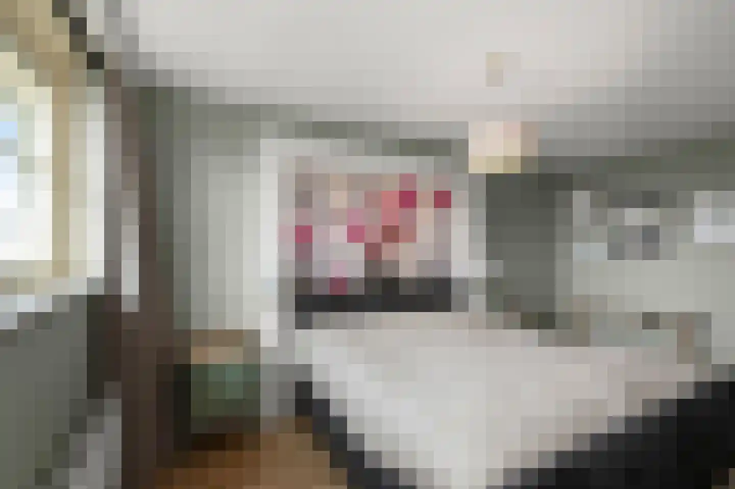 Witte Ring 103 Assendelft thumbnail 17