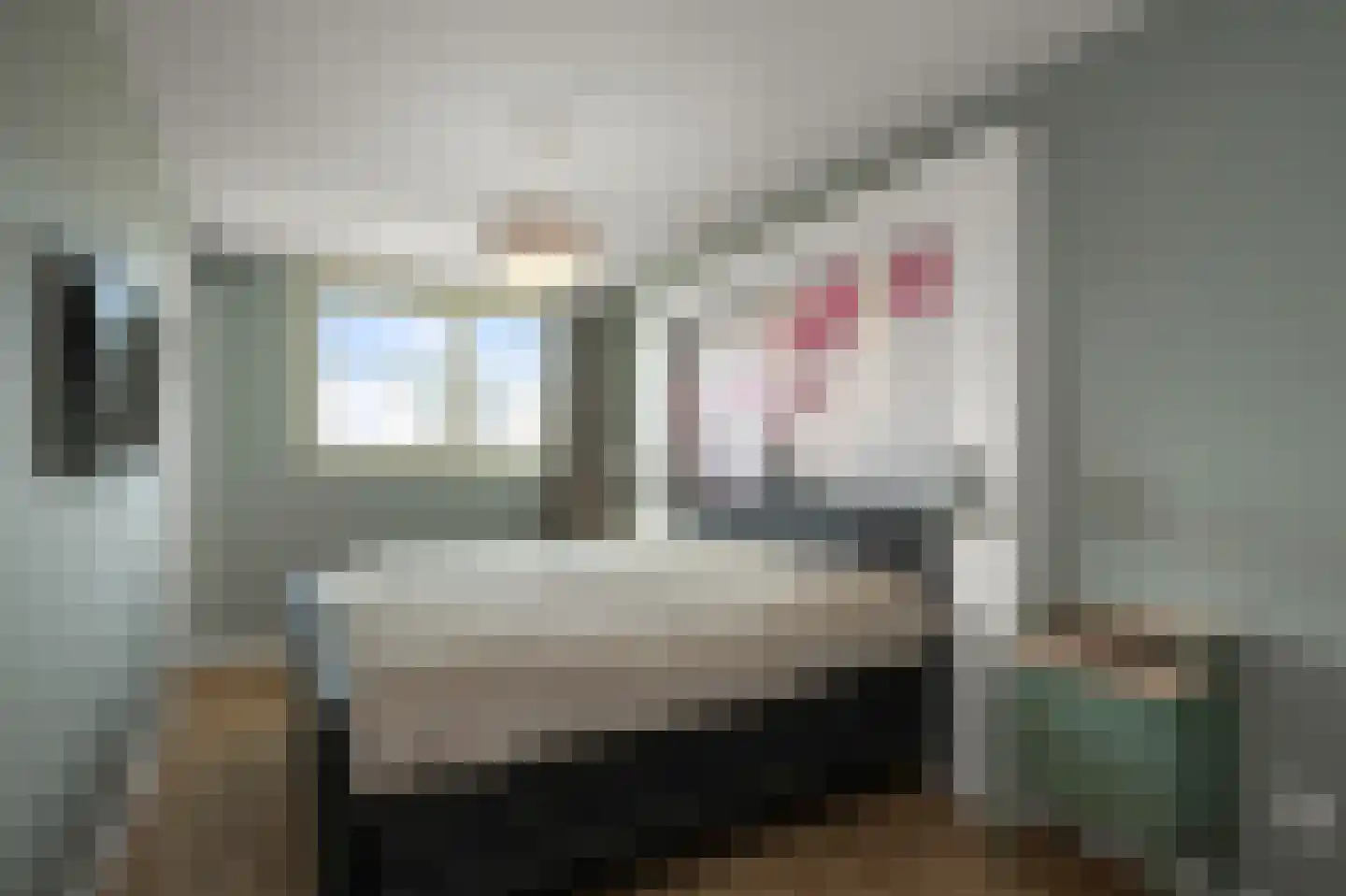 Witte Ring 103 Assendelft thumbnail 18