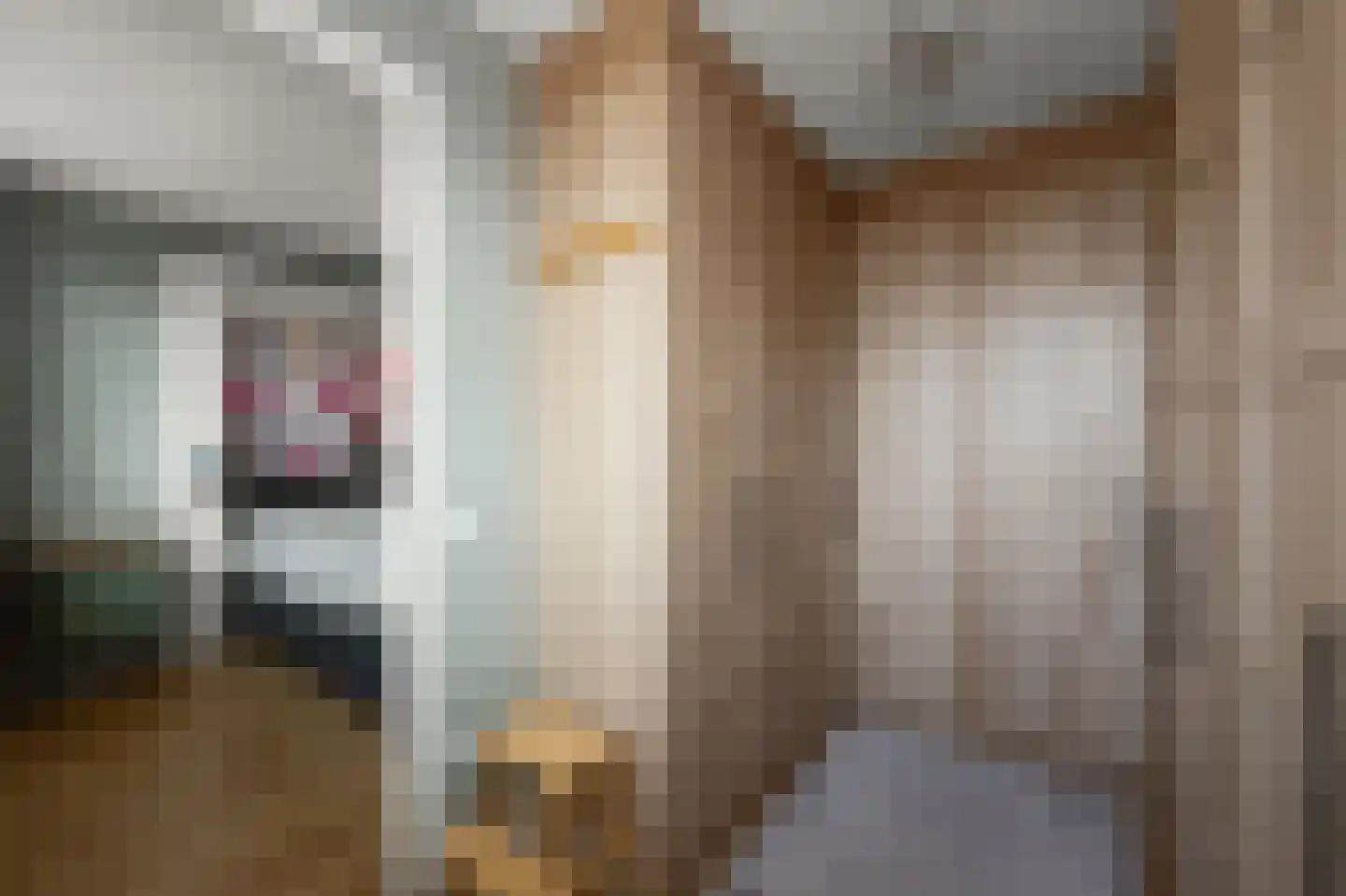 Witte Ring 103 Assendelft thumbnail 20