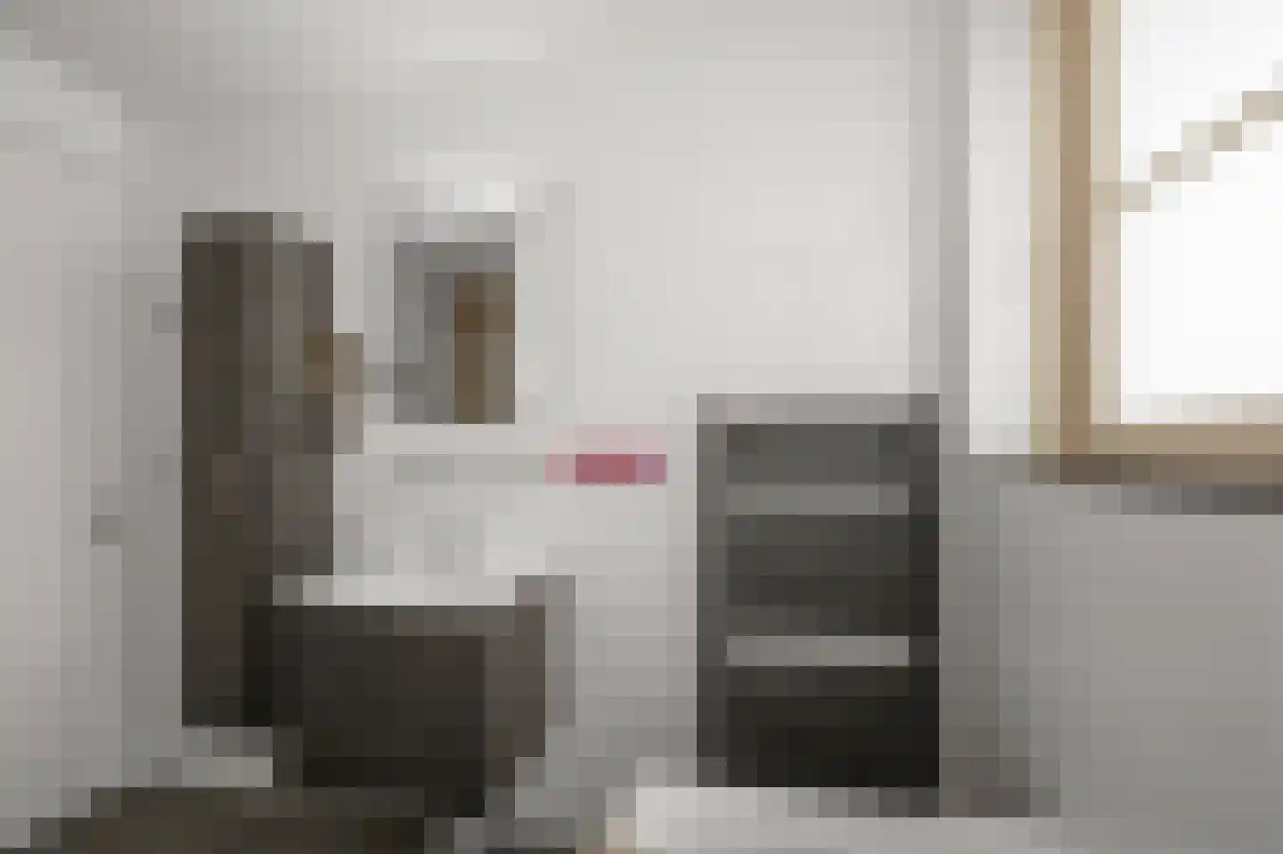 Witte Ring 103 Assendelft thumbnail 26
