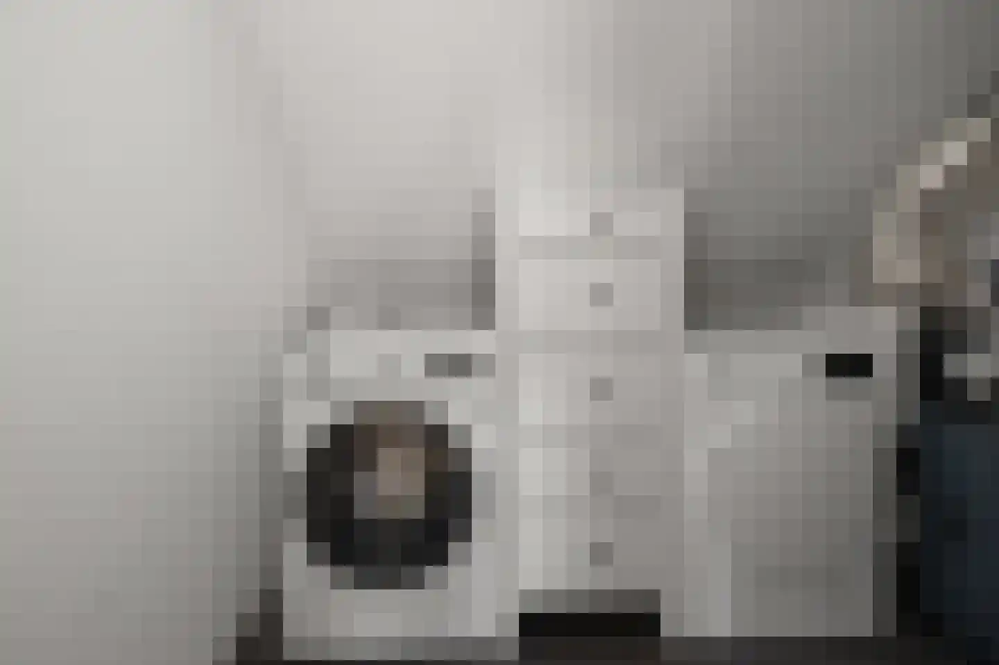 Witte Ring 103 Assendelft thumbnail 31