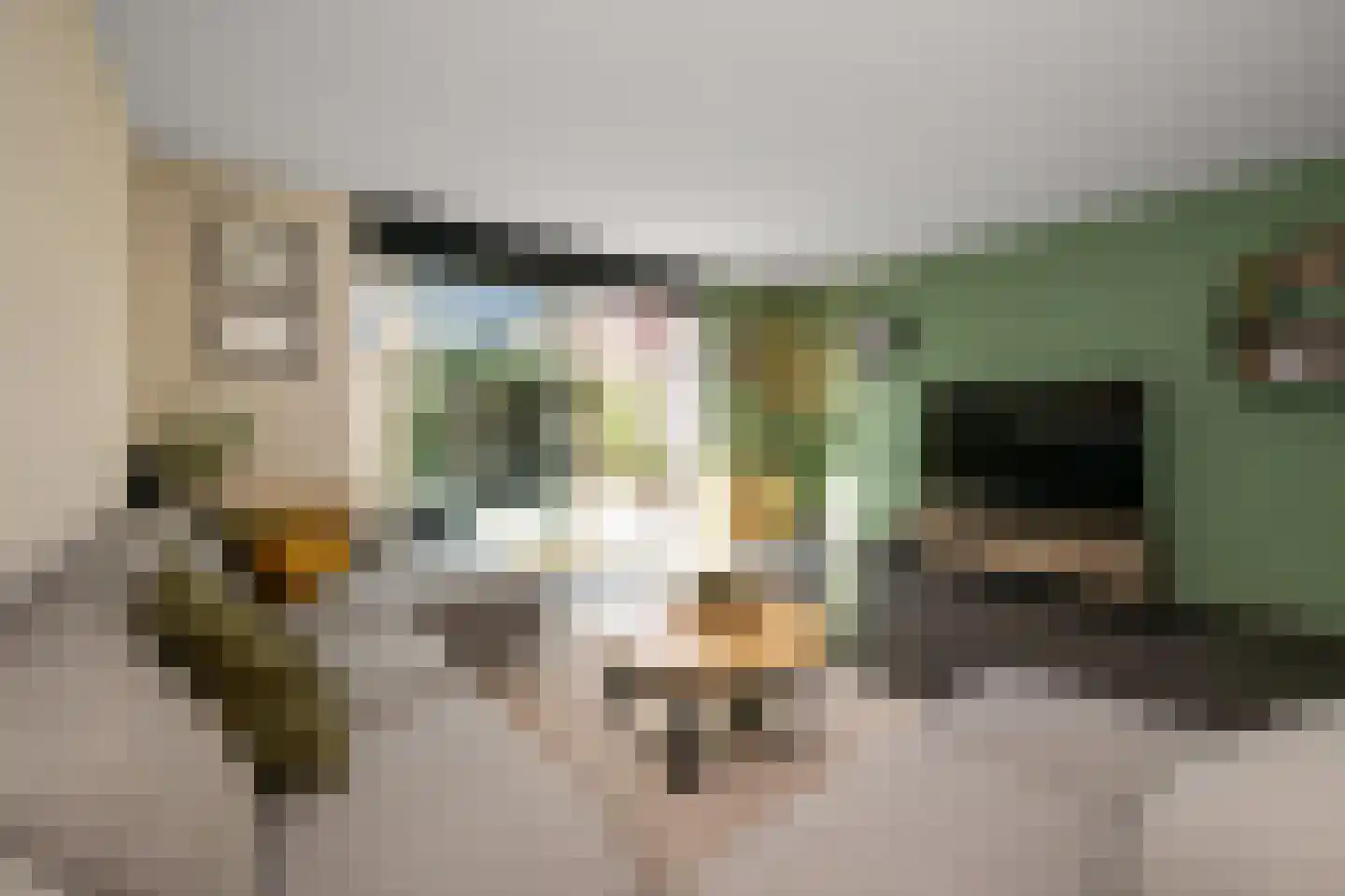 Witte Ring 103 Assendelft thumbnail 4
