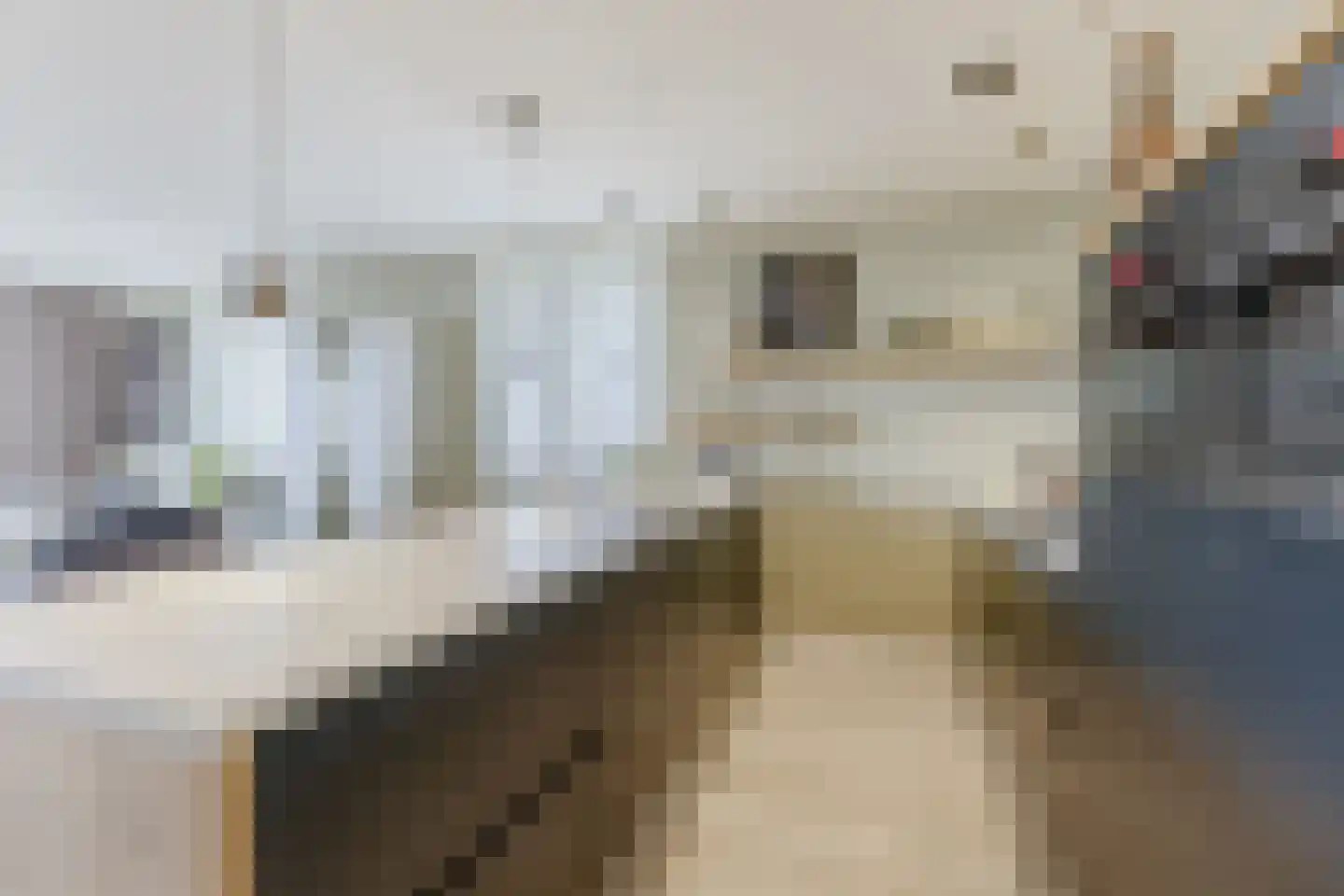 Witte Ring 11 E Assendelft thumbnail 10