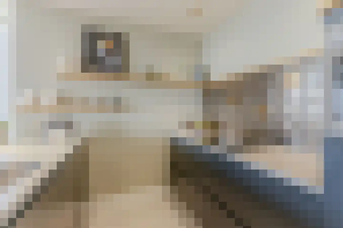Witte Ring 11 E Assendelft thumbnail 11